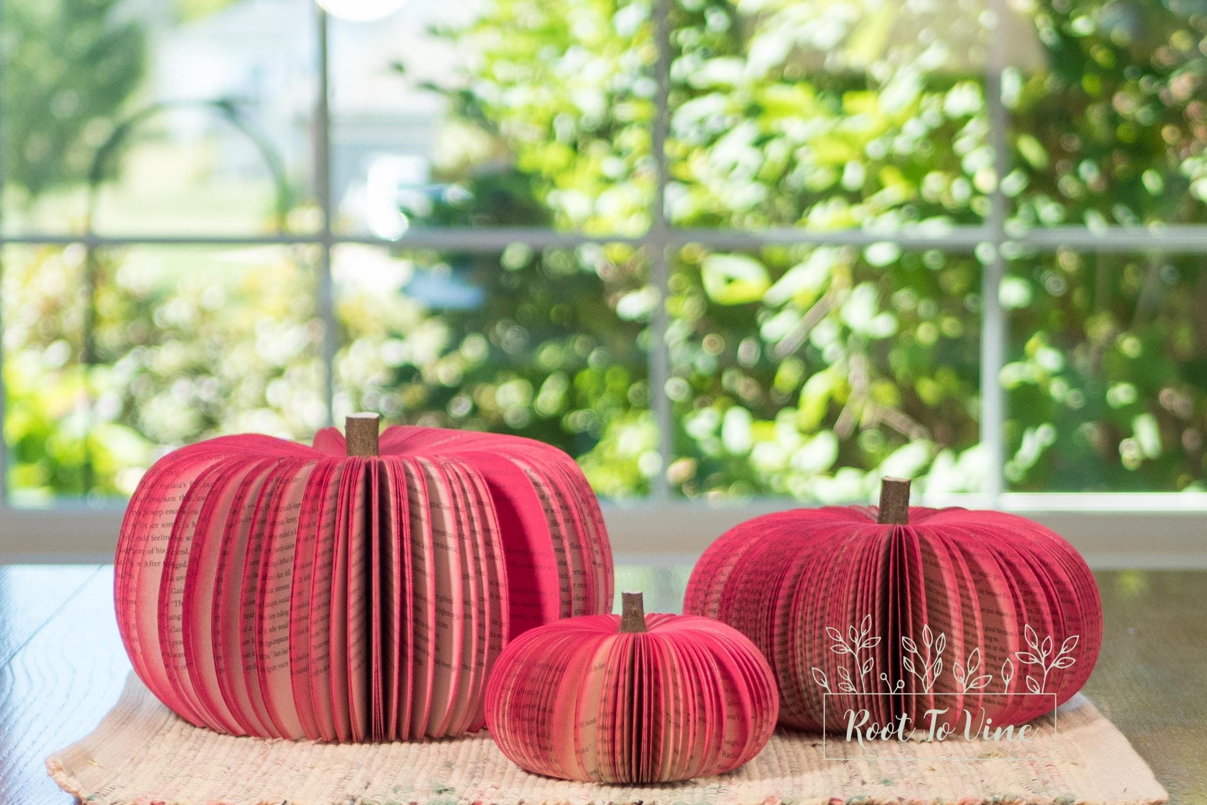 Pink Book Pumpkins