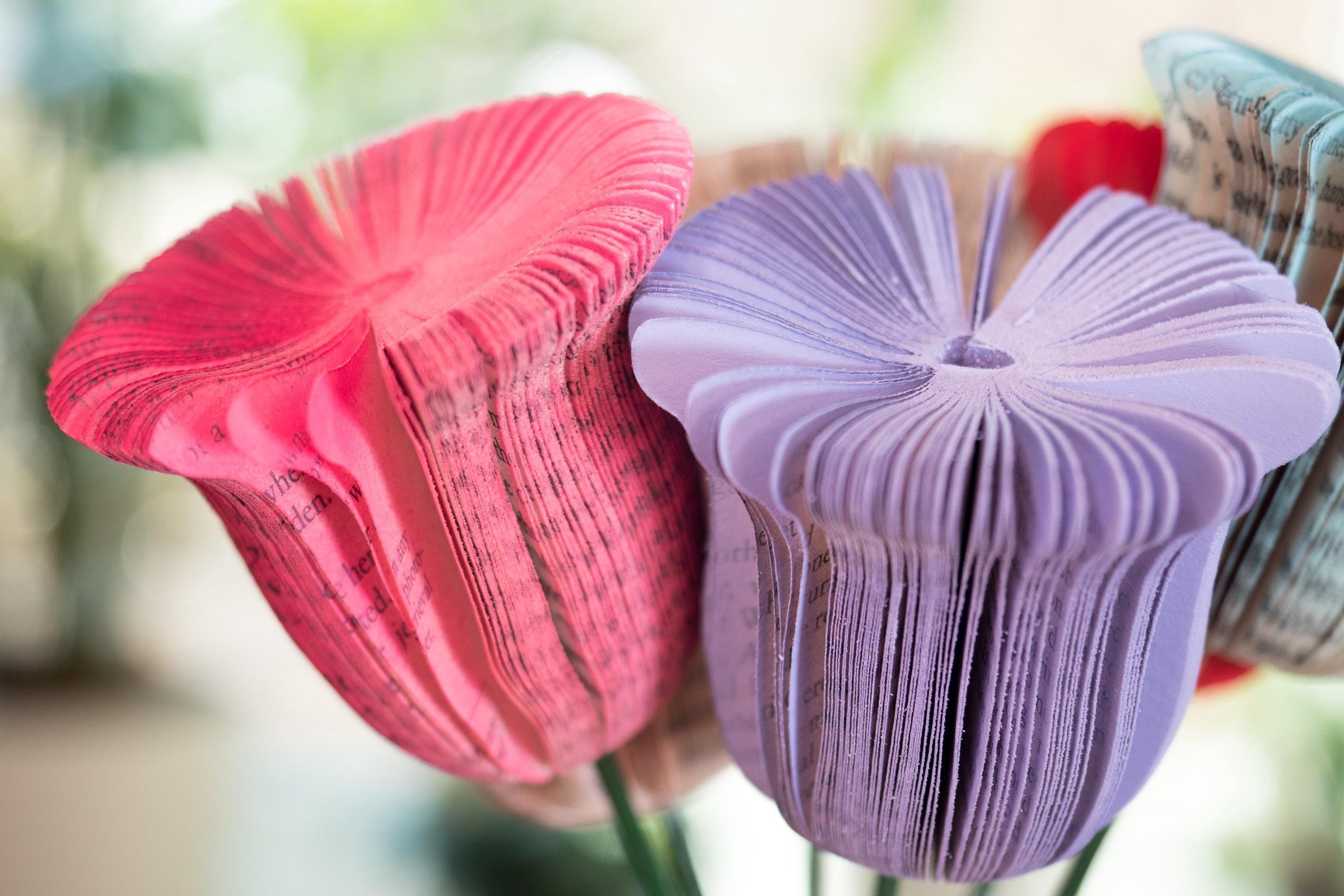 Bell Flowers