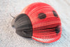 Lady Bug Decor Bookish Gift Literary Lover Garden Lover Gifts Summer Bugs