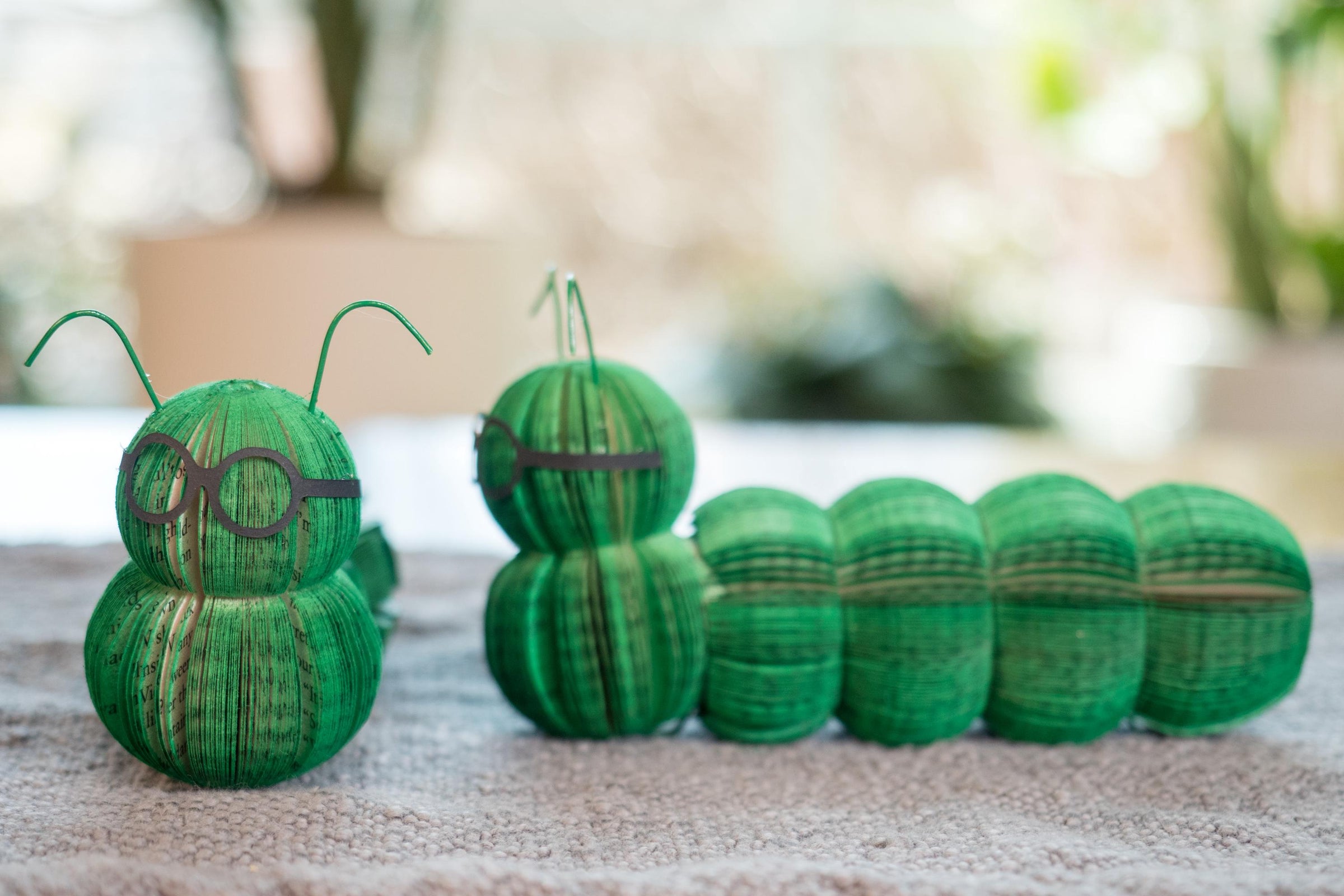 Bookworm Bookish Gift Literary Lover Garden Lover Gifts Summer Bugs Bookworm Gifts Librarian