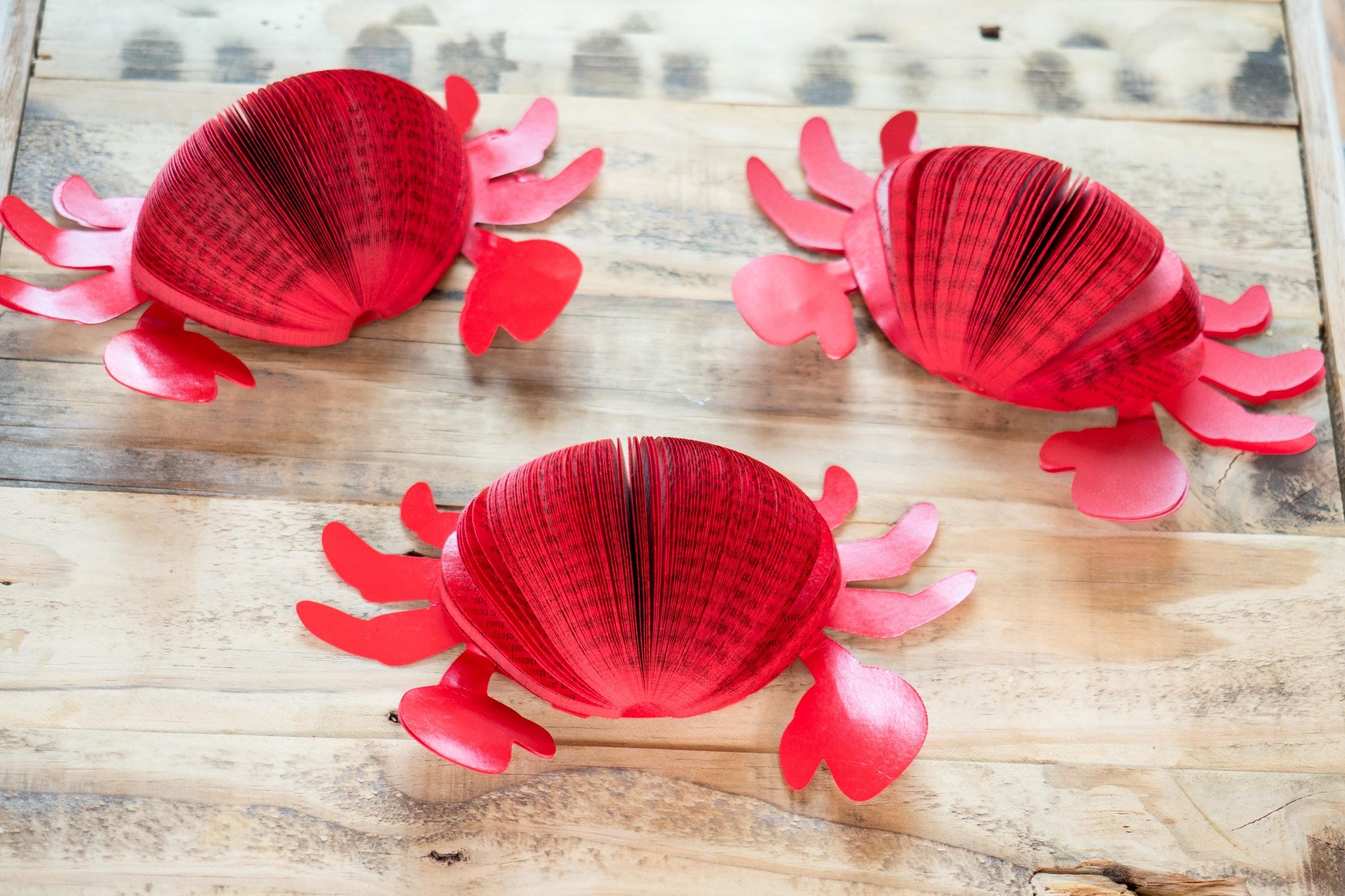 Crab Decor-Nautical Theme Maritime and Coastal Beach Sailing Theme Party Decor