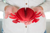 Crab Decor-Nautical Theme Maritime and Coastal Beach Sailing Theme Party Decor