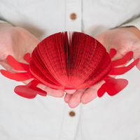 Crab Decor-Nautical Theme Maritime and Coastal Beach Sailing Theme Party Decor